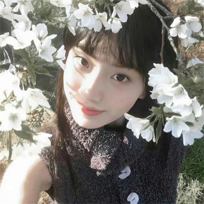 雪中悍刀行